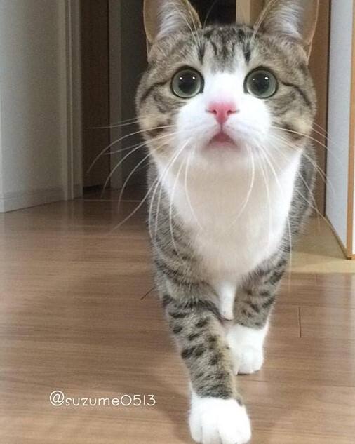 ?"Su;?I?)??q的简单介绍-ayx